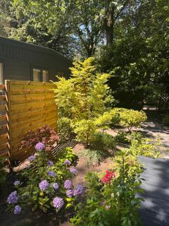 Enchanted garden - 1