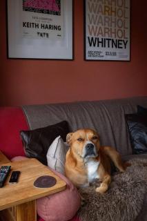 Comhla Cottage Lochwinnoch with cold plunge - 3