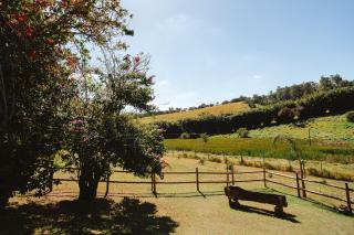 Fazenda Histórica de Café com Lagos, Cavalos e Trilhas - 5