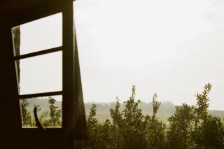 Macadamia Farm Stay - 6