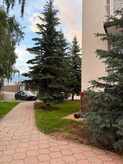Barskhan Guest House - 7