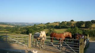 The Shire Luxury Converted Horse Lorry with private hot tub Cyfie Farm - 7