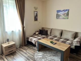 Central apartment - 5