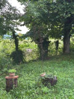 Babilina Estate & Campside - 4