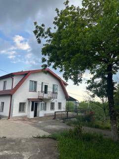 Babilina Estate & Campside - 0