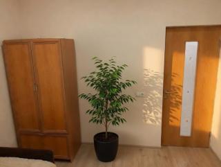 Relax garden area with BBQ zone - Erevan - 7