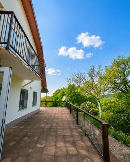 Babilina Estate & Campside - 9