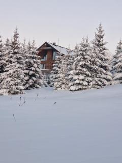 NOOK Kopaonik Luxury Apart & House - 5