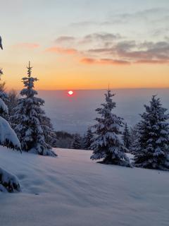 NOOK Kopaonik Luxury Apart & House - 6