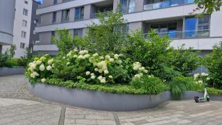 Apartament Morza Szum - Plac Unii- Parking - 5