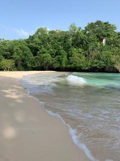 Ackee Tree Rustic Cottage - 1