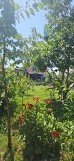 Village - 9