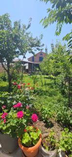 Village - 8