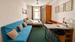 THE BOHEMIA SLAVOJ APARTMENT Vyšehrad - 9