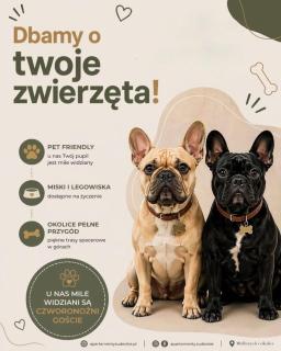 Apartament Złota Piaskowa - 9