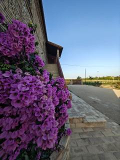 Sentina al mare - 9