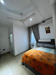 Dreamland Prestige - 6
