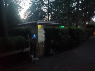 Chalet 117 rand Veluwe in het bos, tegen de heide aan en nabij de IJssel - 1