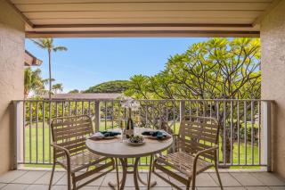 Napili Shores F248 - 9