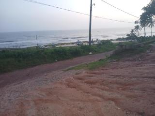 Dolphin beach - 8