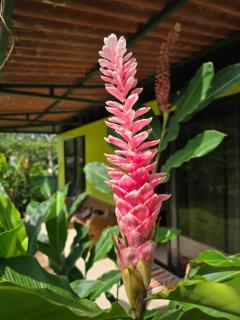 Canto del Mar Guest House - 8