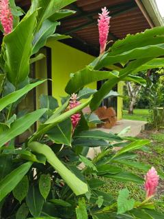 Canto del Mar Guest House - 0