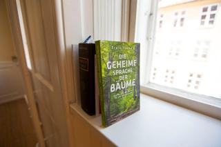 Charming Old-Town Flat in Central Copenhagen - 6