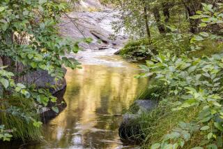 Riverfalls Retreat - 1
