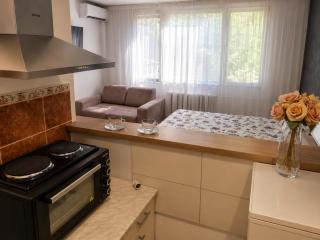 Apartman Novi Grad 4 - 1