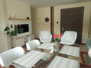 Suite de lujo de 2 habitaciones con vista a las montañas en La Victoria Ibarra - 3
