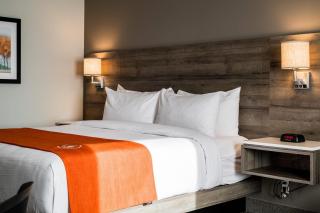 Amsterdam Inn & Suites, an Ascend Collection Hotel - 1