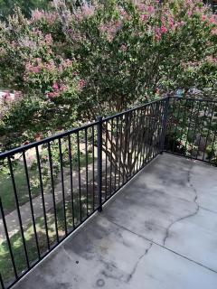 Central 1BR Retreat by Hospital and tollway - 4