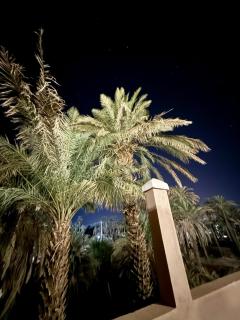 Dar Zagora Oasis - Authentic Moroccan Stay - 4