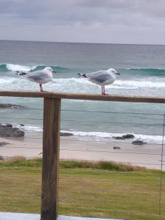 The Mariner - Oceanfront Living - 5