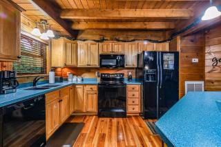 Absolute Bearadise cabin - 1