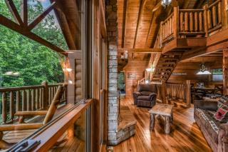 Absolute Bearadise cabin - 4