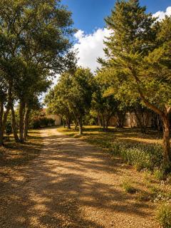 Villa SoleLuna - 8