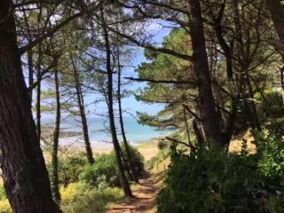 La bulle marine - 3