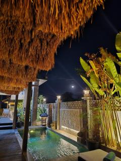 Beachview Villa near Sanur, Live Sports AFL NRL - 3