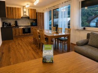 Ski und Wander Ferienwohnung Galsterberg-Blick Pruggern - Schladming-Dachstein - 0