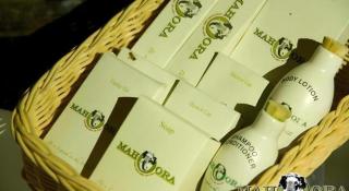 Explorer by Eco Team - Dambana - 1