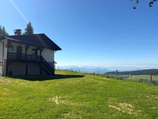 Bergpanorama-Hütte in Alleinlage - 8