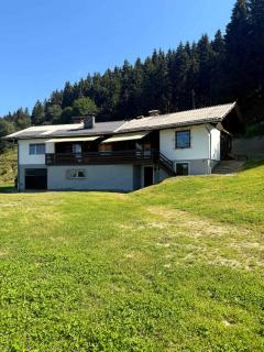 Bergpanorama-Hütte in Alleinlage - 7