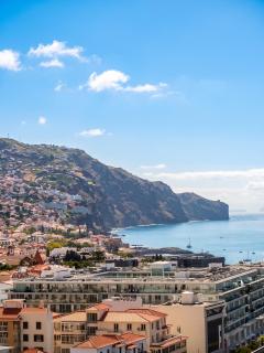Comfortable Studio in Central Funchal - 20 m² - Terrace - Funchal - 1