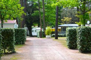 Camping Le Clos Des Pins - Longeville-sur-Mer - 1