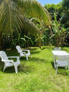 Maison charmante à Baie-Mahault avec jardin clôturé - 0