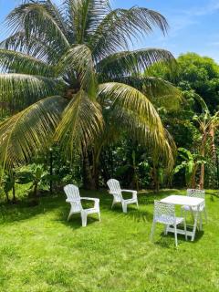 Maison charmante à Baie-Mahault avec jardin clôturé - 8