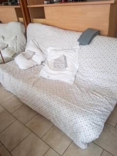 Studio avec vue sur montagne à Luz-Saint-Sauveur, 32m² + terrasse - 5