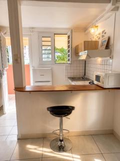 Studio charmant au cœur de Fort-de-France, 22 m², vue sur le jardin - 7