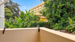 Studio charmant au cœur de Fort-de-France, 22 m², vue sur le jardin - 3